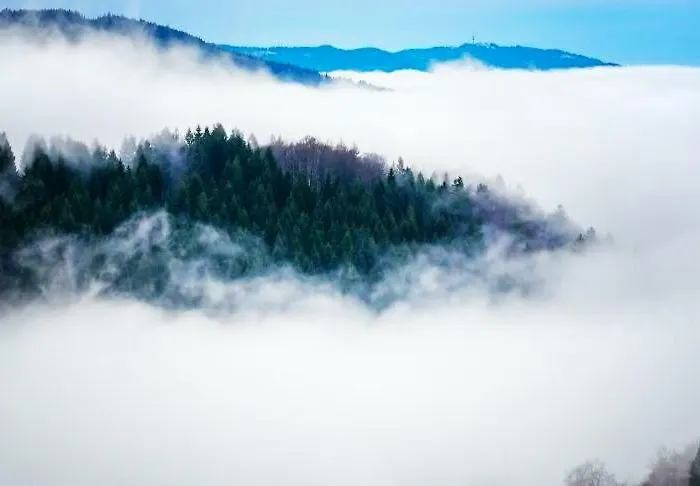 House Beskyd Дом отдыха